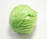 有機綠甘藍 Green cabbage
